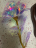 七彩炫光玫瑰花星空彩金浪漫情人节七夕送老婆女友生日礼物金箔 彩金玫瑰花【75%以上选择】 【送它一朵永不凋零的爱意玫瑰】 实拍图