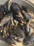 柒岛海捕大青口贝鲜活特大海虹淡菜新鲜冷冻海鲜贻贝青口贝水产 7斤(净重)  海虹开口属于正常现象 实拍图