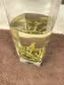 丙田 特级天目湖白茶礼盒 溧阳明前26年头采新茶叶早春绿茗茶送礼201g 实拍图