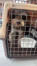 波奇多 宠物航空箱猫狗大容量空运箱 托运航空箱 小号(建议12斤内宠物) 实拍图