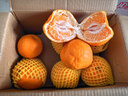 京鲜生 春见耙耙柑 净重5斤 单果150g起 生鲜柑橘桔子水果礼盒 实拍图