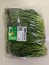 【24小时菜】菠菜苗250g(长度≤20cm) 实拍图