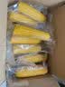 当季新货头茬东北黄甜糯玉米棒真空包装低脂黄糯大棒甜东北黏苞米 黑土地黄糯玉米【120-160克】2根 实拍图