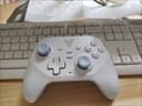 飞智沙漠狐 冰魄蓝 多模版无线游戏手柄 类xbox霍尔扳机switch电脑PC手机steamNS 星露谷物语双影奇境 实拍图