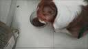 凯锐思 哈士奇狗粮 成犬幼犬专用大型犬4斤营养专用粮 2kg 实拍图