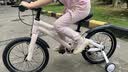 凤凰儿童自行车单车2-3-4-6-9-10岁男孩童车中大童女孩小孩宝宝脚踏车 黛玉粉-辐条轮-抱刹 18寸（推荐身高115-125cm） 实拍图