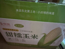 玉小胖【京东基地】东北新鲜白甜糯玉米棒10根6斤 真空包装低脂粗粮早餐 实拍图