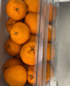 京鲜生 春见耙耙柑 净重10斤 单果220g起 生鲜水果桔子柑橘礼盒 实拍图