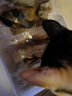 京东京造 冻干猫咪零食6种鱼300g 三文鱼金枪鱼鳕鱼猫零食狗狗 实拍图