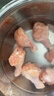 正大食品（CP）鸡翅根净重3斤   生鲜冷冻 鸡肉烤鸡翅鸡肉烧烤 低脂早餐 实拍图