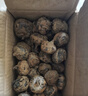 【东东买菜】新鲜马蹄荸荠当季现挖直发荸荠水果包邮脆甜多汁 新鲜马蹄 带箱2斤 实拍图