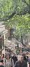 viney披肩女2026新款围巾女格子百搭空调房斗篷护肩颈毛毯女外搭送女友 枫叶黄-高端礼盒装 实拍图