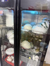 金立厨电消毒柜商用立式大容量餐饮饭店双门不锈钢消毒碗柜 【约40-80人】880型宽800mm四层 臭氧消毒 实拍图