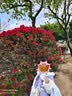 安妮优儿（Anneyol）汉服女童秋冬古风斗篷中国风唐装儿童古装披风冬季 紫色披风 120 实拍图