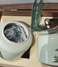 恩施玉露绿茶2026新茶250g明前茶叶礼盒富硒产区蒸青春茶嫩芽端午送礼长辈 实拍图