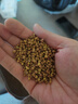 福茗源养生茶 黄苦荞茶500g 特级品质大凉山花草茶全胚芽全颗粒荞麦茶 实拍图