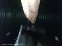 扬子潜水泵家用井水抽水泵220V不锈钢农用污水泵灌溉浇菜大流量高扬程 不锈钢污水1100W-2寸【10米线-10米水带】 实拍图