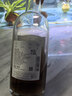 古越龙山悠雪 半干型 绍兴黄酒 500ml 单瓶装 实拍图