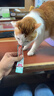 麦富迪【品牌直发】猫零食猫条猫咪营养猫条成幼猫零食高肉营养猫条 【促排毛球】多春鱼猫草 30支 【浅尝一下】 实拍图