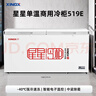 星星（XINGX）519L商用冰柜 冷藏冷冻冰箱中梁除霜冷冻柜 单箱单温大容积卧式-40℃冷柜 BD/BC-519E 国家补贴 实拍图