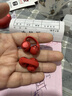 韶音（SHOKZ）OpenDotsONE开放式蓝牙耳机耳夹式耳机夹耳式蓝牙跑步运动 【限量发售】赤霞珠 实拍图