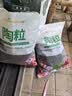 爱美花盆国产青山盆控根透气加仑花盆塑料花盆 口径21cm白色2个装含托盘 实拍图