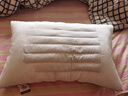 洁丽雅（Grace）枕头定型枕 磨毛镶边绗缝枕芯45*70cm 枕头单人一只 实拍图