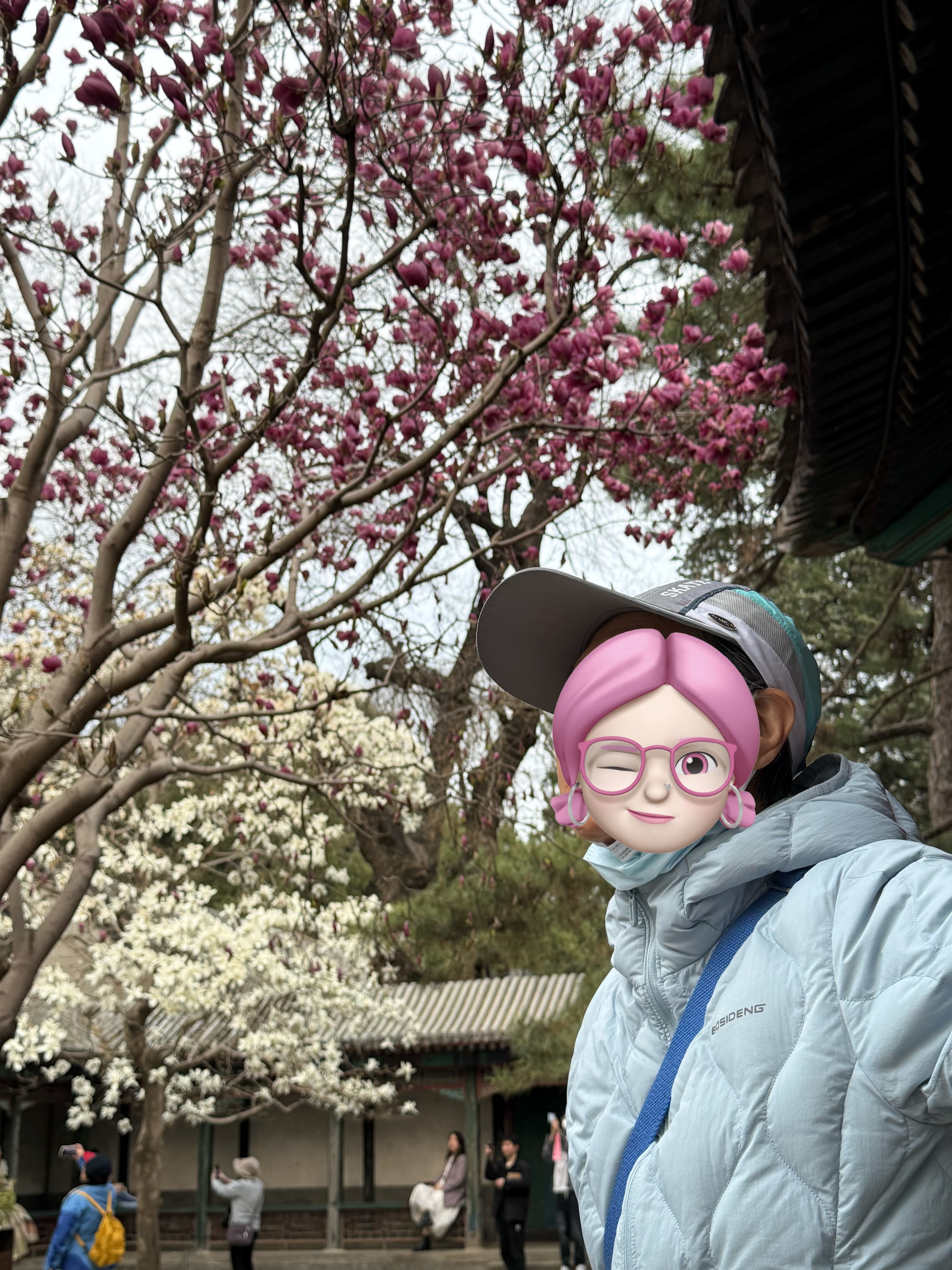 德西纳七夕礼物速干帽子女夏季网眼棒球帽透气凉帽户外旅行遮阳帽太阳帽 实拍图