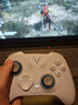 飞智冰原狼4多模版无线游戏手柄 类xbox 力调节摇杆双切扳机 switch电脑PC手机steam体感NS 仁王3 实拍图