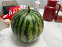 京鲜生 无籽麒麟西瓜 1粒装 净重5-7斤 生鲜水果 实拍图