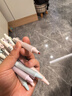 得力（deli）简系系列按动中性笔 金属笔夹 0.5mmST头速干高颜值学生刷题笔考试笔 黑色12支装JX010高考考试 实拍图