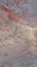 水星家纺羽绒被子90%白鸭绒被子冬季春秋被芯双人羽绒被200x230cm-600g 实拍图