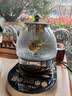 金灶（KAMJOVE）养生壶煮茶器电热茶壶电茶壶A-55/A-99原厂配件【非整套产品】 A-99玻璃壶（不含盖） 实拍图