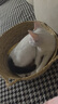 喵仙儿猫窝四季通用蒲草编织猫抓板窝网红藤编睡觉猫垫子 M【源头直发】 实拍图