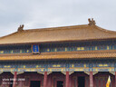 亚狮龙专业比赛鸭毛羽毛球稳定耐打金冠C4号77速12只装/桶 实拍图