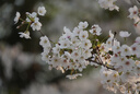 腾龙（Tamron）B061S 18-300mm F/3.5-6.3 Di III-A VC VXD防抖远摄变焦微单镜头（APS-C专用E口） 实拍图