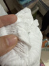 贝因美【试用装】菁爱菁护拉拉裤XXL6片（≥15kg）加加大婴儿尿不湿超薄 实拍图