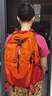 骆驼（CAMEL）【山栖】户外轻便登山包大容量专业徒步防水旅行背包双肩包朱雀红 实拍图