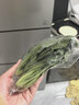 【24小时菜】菠菜苗250g(长度≤20cm) 实拍图