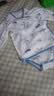 贝肽斯婴儿衣服春夏长袖包屁衣新生幼儿护肚衣服小月龄宝宝纯棉连体哈衣 实拍图