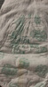 五羊（FIVERAMS）拉拉裤薄薄芯成长裤XXXL38片(18kg以上)婴儿尿不湿超薄瞬吸干爽 实拍图