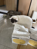pidan混合猫砂 豆腐膨润土70%:30%混合3.6kg*4包 实拍图