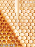娇兰（Guerlain）帝皇蜂姿蜜润精粹液150ml补水保湿护肤品礼盒套装生日母亲节礼物 实拍图