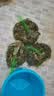 山泽Console调试线1.8米 Type-C转RJ45控制线交换机配置线转换线适用思科华为腾达TP-LINK路由器 TR18 实拍图