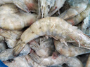 GUO LIAN厄瓜多尔原装进口白虾3.3斤净重特大号49-66只 生鲜海鲜源头直发 实拍图