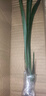 特级浓香型企黑兰花国兰客厅四季好养盆栽绿植物国花高端送礼物 高度40cm冠幅15cm特级精品兰花 1苗裸根发货 实拍图