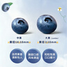 怡颗莓Driscoll's 云南蓝莓14mm+ 12盒装 约125g/盒 新鲜水果礼盒 实拍图