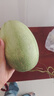 京喜加海南哈密瓜水果现货正宗保甜当季新鲜水果脆甜晓蜜哈密瓜 精选2-3斤（1颗装）净重1.5斤-2.5斤 实拍图