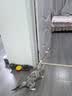 BNBNO猫咪悠悠球猫玩具自动逗猫棒自嗨解闷神器小猫消耗体力用品 实拍图