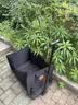 天与云手袋超轻露营车营地车溜娃买菜狗狗宠物推车小拉车 耀夜黑 实拍图